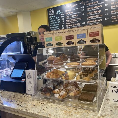 Café Folino Bakery Case with Muffins, Cookies, Croissant, Brownies, and Cinnamon Rolls